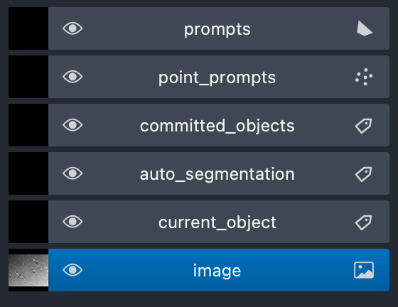 napari Interface Setup